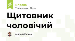 Щитовник чоловічий