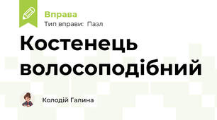 Костенець волосоподібний