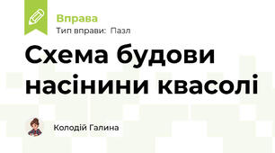 Схема будови насінини квасолі