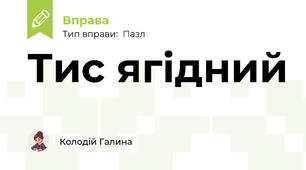 Тис ягідний