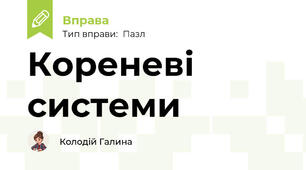Кореневі системи
