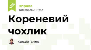 Кореневий чохлик