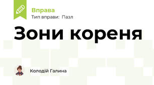 Зони кореня