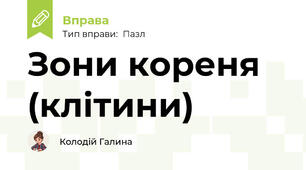Зони кореня (клітини)
