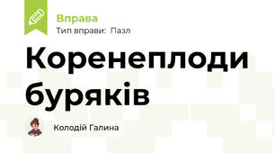 Коренеплоди буряків