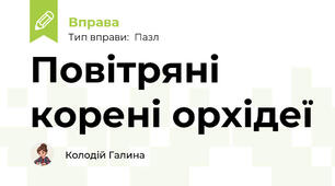 Повітряні корені орхідеї