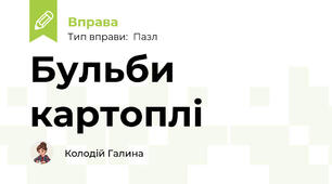 Бульби картоплі