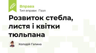 Розвиток стебла, листя і квітки тюльпана