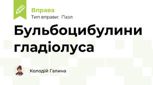 Бульбоцибулини гладіолуса