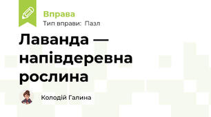 Лаванда — напівдеревна рослина