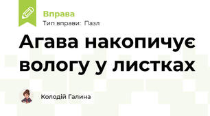 Агава накопичує вологу у листках