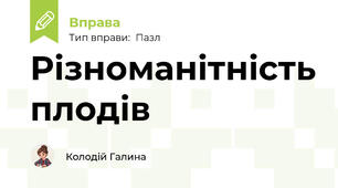 Різноманітність плодів