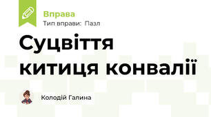 Суцвіття китиця конвалії