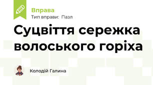 Суцвіття сережка волоського горіха