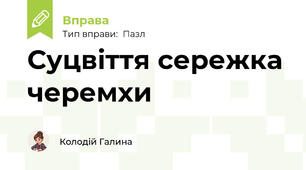 Суцвіття сережка черемхи