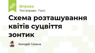 Схема розташування квітів суцвіття зонтик