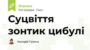 Суцвіття зонтик цибулі
