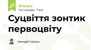 Суцвіття зонтик первоцвіту
