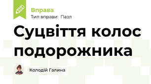 Суцвіття колос подорожника