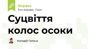 Суцвіття колос осоки