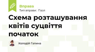 Схема розташування квітів суцвіття початок
