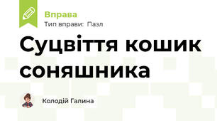 Суцвіття кошик соняшника