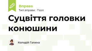 Суцвіття головки конюшини