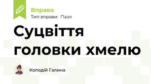Суцвіття головки хмелю