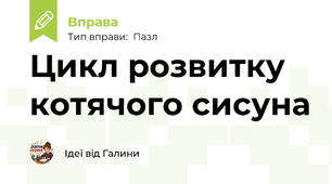 Цикл розвитку котячого сисуна