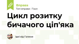 Цикл розитку бичачого ціп'яка