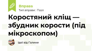 Коростяний кліщ — збудник корости (під мікроскопом)