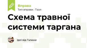 Схема травної системи таргана