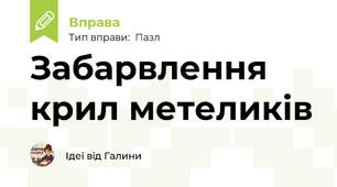 Забарвлення крил метеликів
