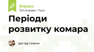 Періоди розвитку комара