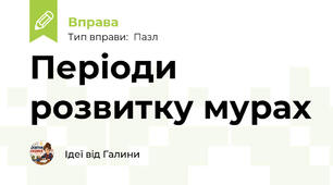 Періоди розвитку мурах