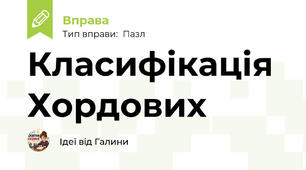 Класифікація Хордових