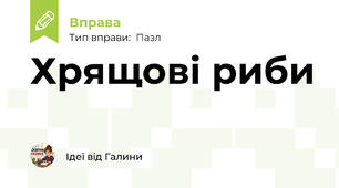 Хрящові риби