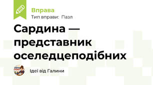 Сардина — представник оселедцеподібних
