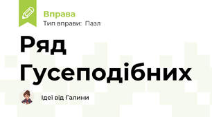 Ряд Гусеподібних