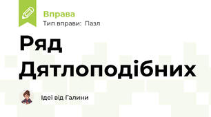 Ряд Дятлоподібних