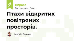 Птахи відкритих повітряних просторів.