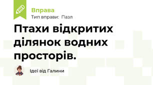 Птахи відкритих ділянок водних просторів.