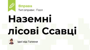 Наземні лісові Ссавці