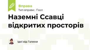 Наземні Ссавці відкритих просторів