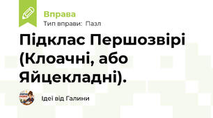 Підклас Першозвірі (Клоачні, або Яйцекладні).