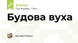 Будова вуха