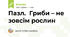 Пазл.  Гриби – не зовсім рослин