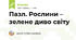 Пазл. Рослини – зелене диво світу