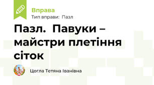 Пазл.  Павуки – майстри плетіння сіток