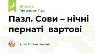 Пазл. Сови – нічні пернаті  вартові